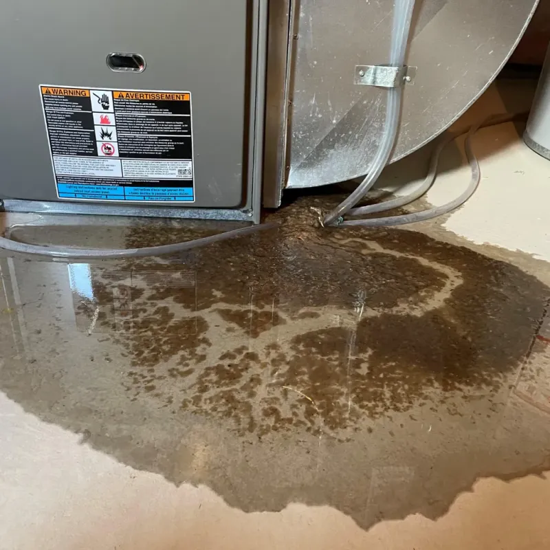 Appliance Leak Cleanup in Tuolumne City, CA